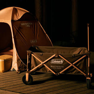 WEEKLY ONLINE STORE RANKING -GOODS- 11/18