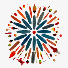 逗子のビーチハウス「surfers」と写真家「Bruce Osborn」によるアートイベント「Nature calls」@California General Store開催のお知らせ