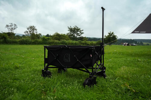 Wagon(4).jpg