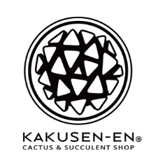 【イベント開催】KAKUSEN-EN POP-UP STOREとご入店時間抽選のお知らせ