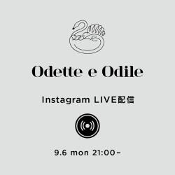 9月6日(月)Instagram LIVEのお知らせ