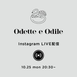 10月25日（月）Instagram LIVEのお知らせ