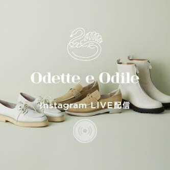 1月17日(月)Instagram LIVEのお知らせ