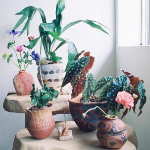 Introducing Hiroki Miura Plant Pots by Blumo