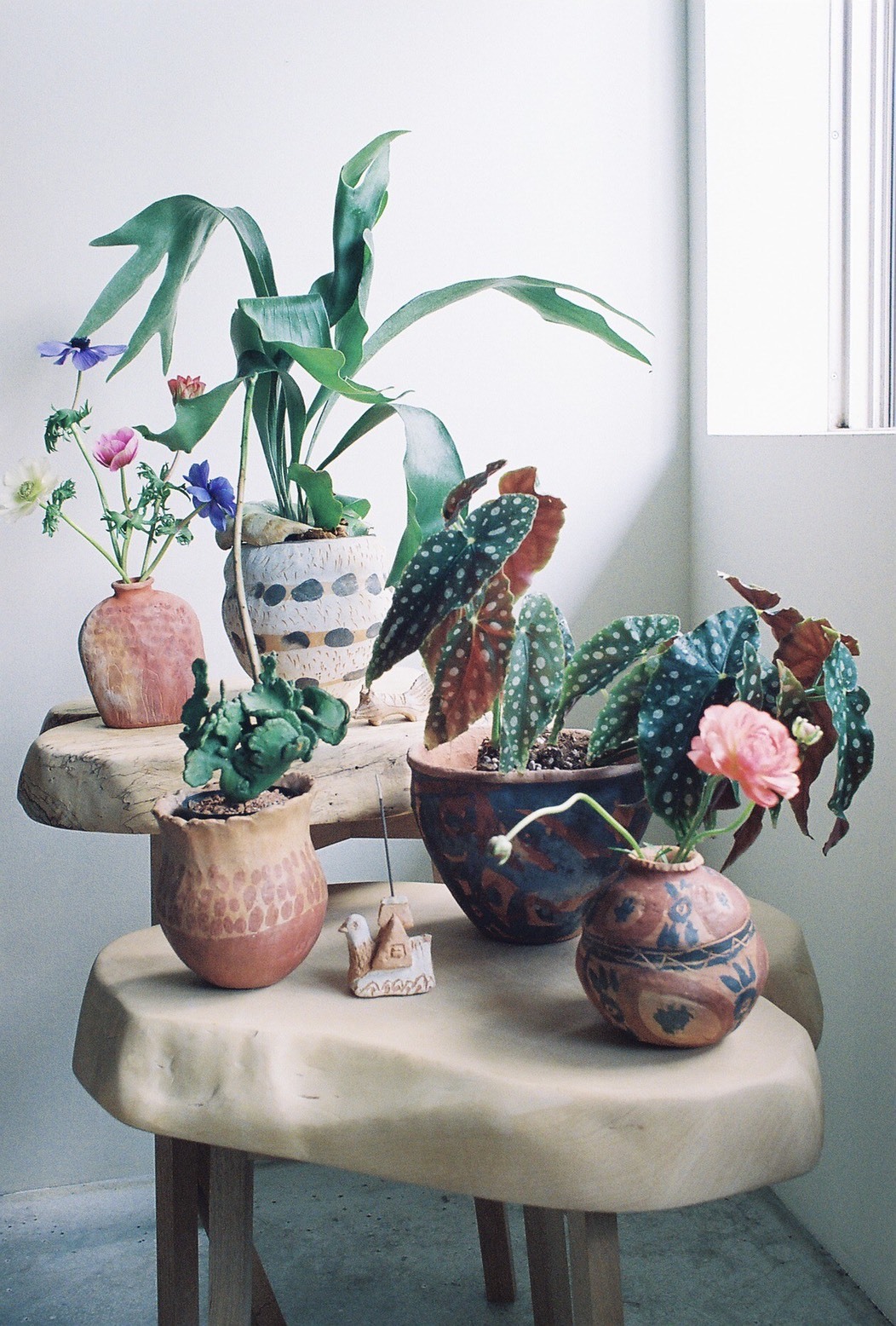 Introducing Hiroki Miura Plant Pots by Blumo｜ニュース｜6