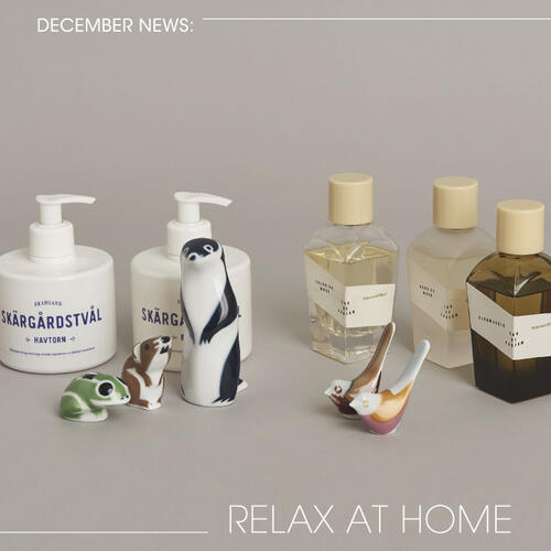 FOCUS：DECEMBER NEWS-RELAX AT HOME-