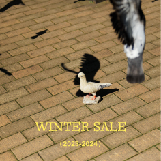 WINTER SALE 2023-2024