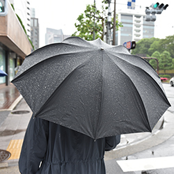 天気予報の恋人