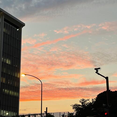 気になるシルバー＆ゴールド