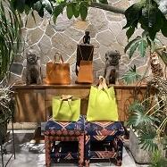 ビタミンカラー