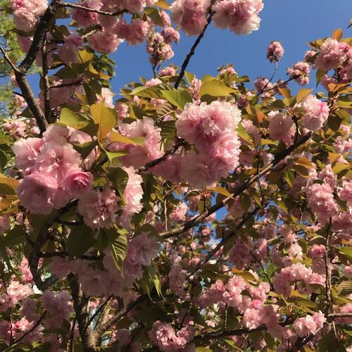 この春おすすめ！『セレモニーアイテム』＆『春アウター』