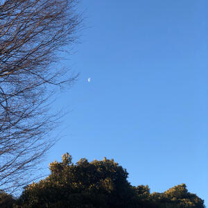 ーWELLNESS FOR THE EARTHー TOのSUSTAINABILITYについて