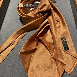 太陽がいっぱい