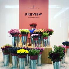 22FW PREVIEWからのRECOMMEND