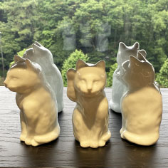 猫様、再来＆灰青登場☆