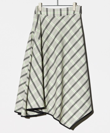 Flare Skirt
