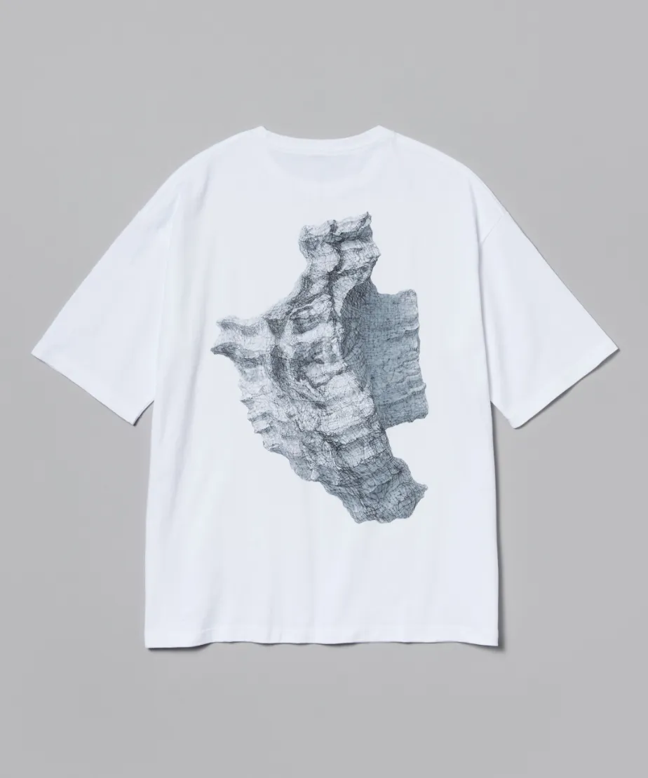 Nichiho Oyama / Tee 2