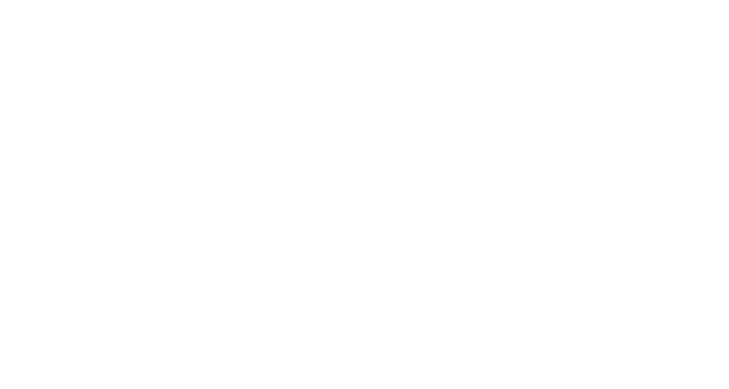 盛り付けの美学