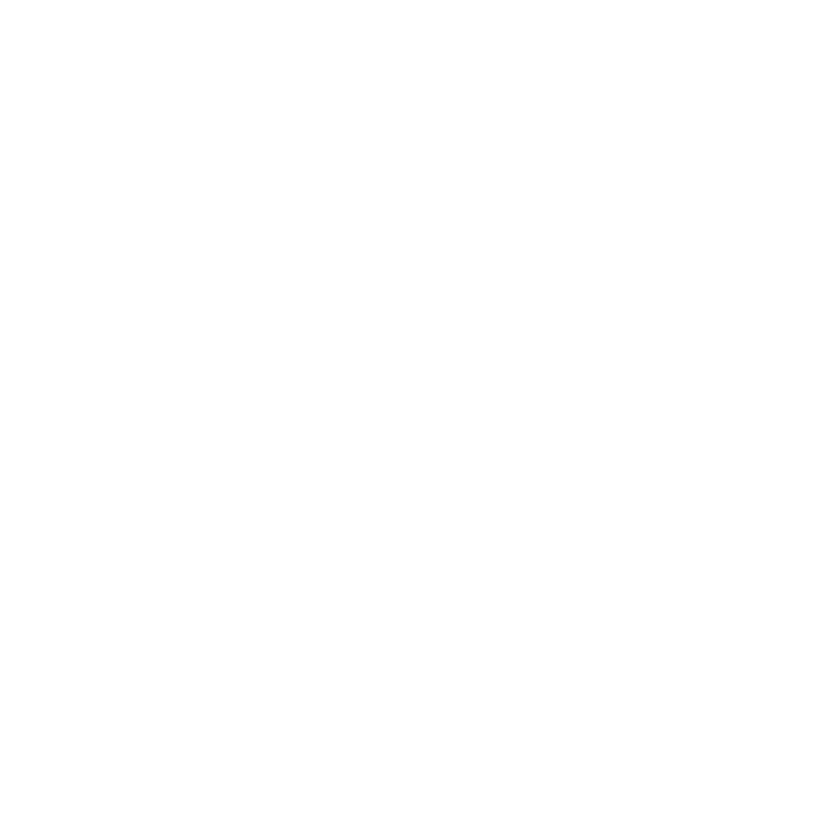 盛り付けの美学