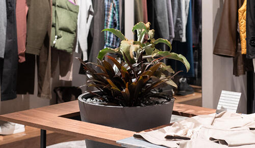 【BEHIND STORY】UNITED ARROWS SHINSAIBASHI