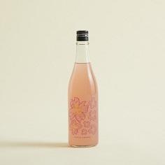 ＜仙禽 × UNITED ARROWS＞コレクション　「UAさくら吹雪 2023」を発売（追記あり）