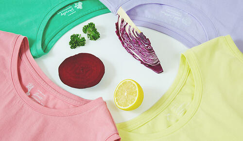 植物由来の染料から作られた、環境にやさしい服の魅力。