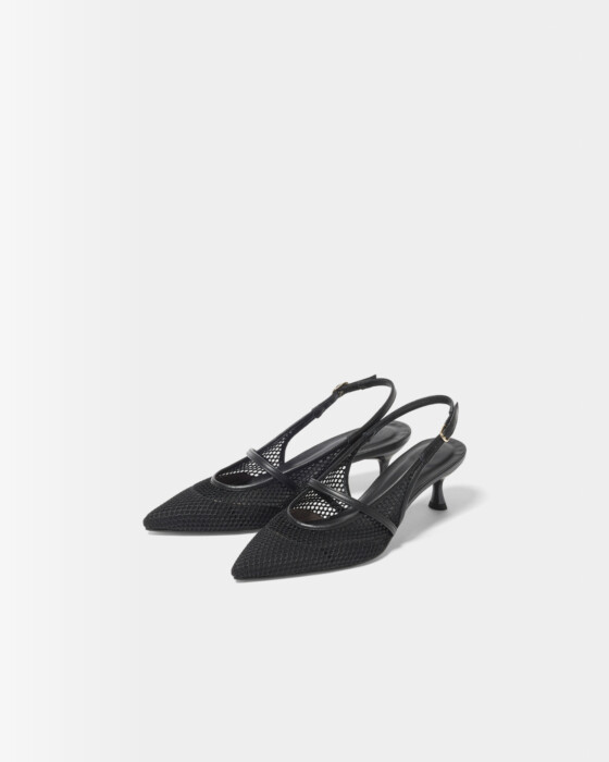 Pumps