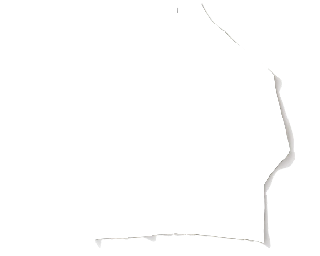 ミラノリブタートルネックニット