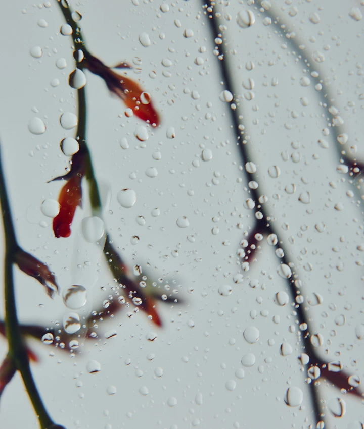 MARW UNITED ARROWS スタッフが着こなす マルゥの高機能服