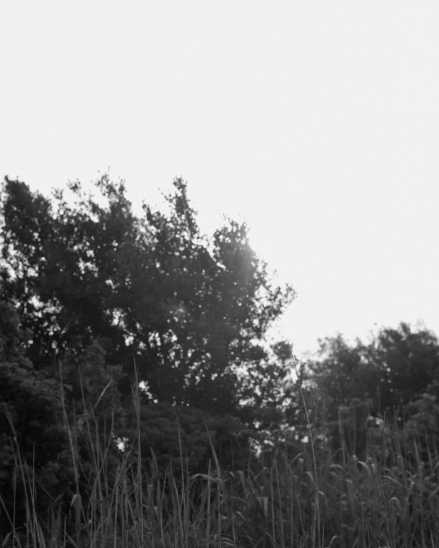 Lepidos 2025 SUMMER LOOK UNDER THE SUN LOOK 06