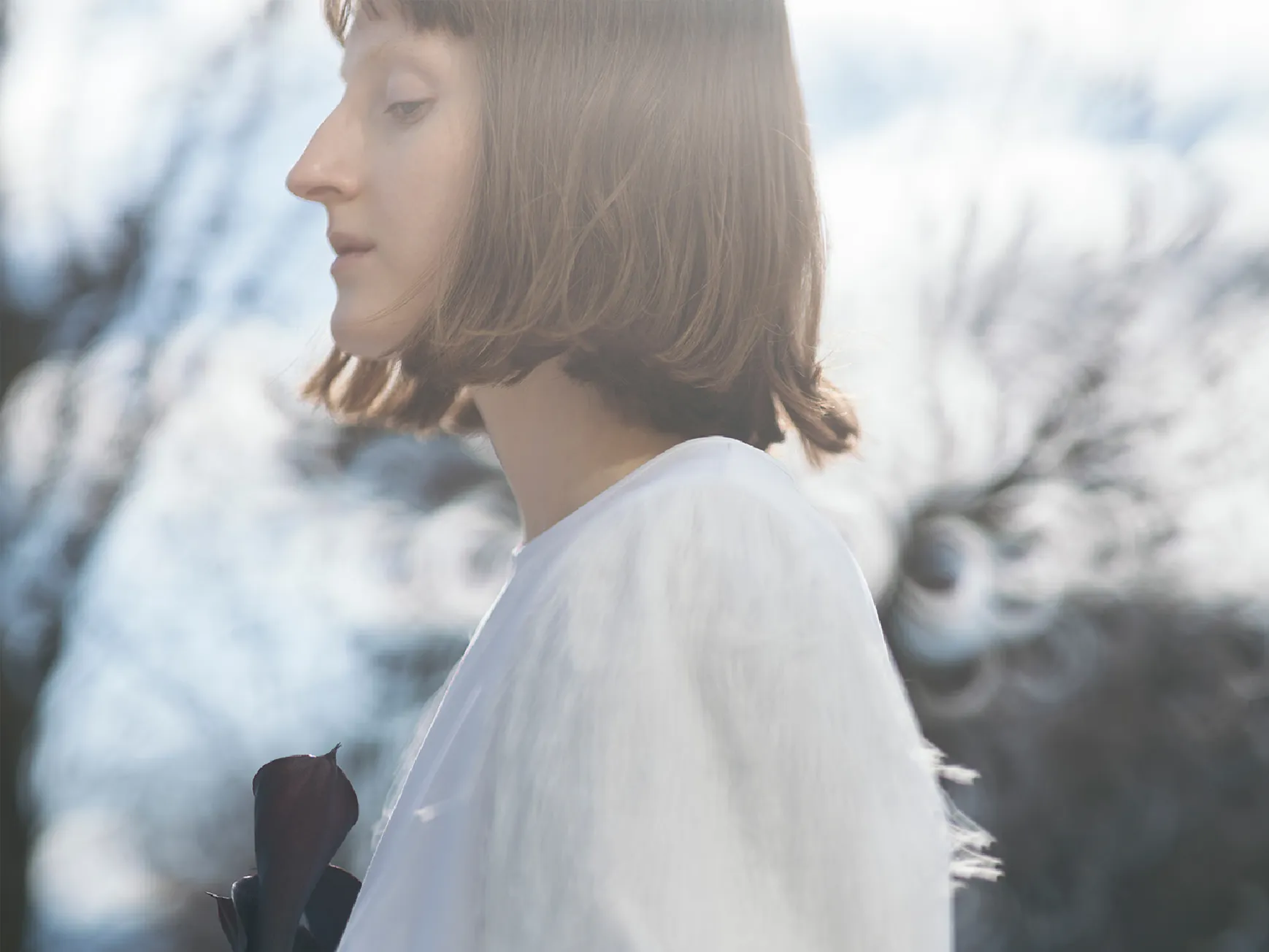 Look - Drawer 2025 Spring Summer