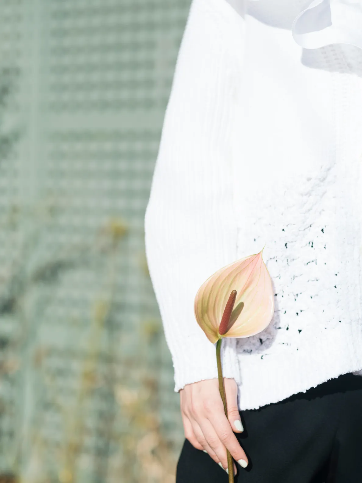 Look - Drawer 2025 Spring Summer