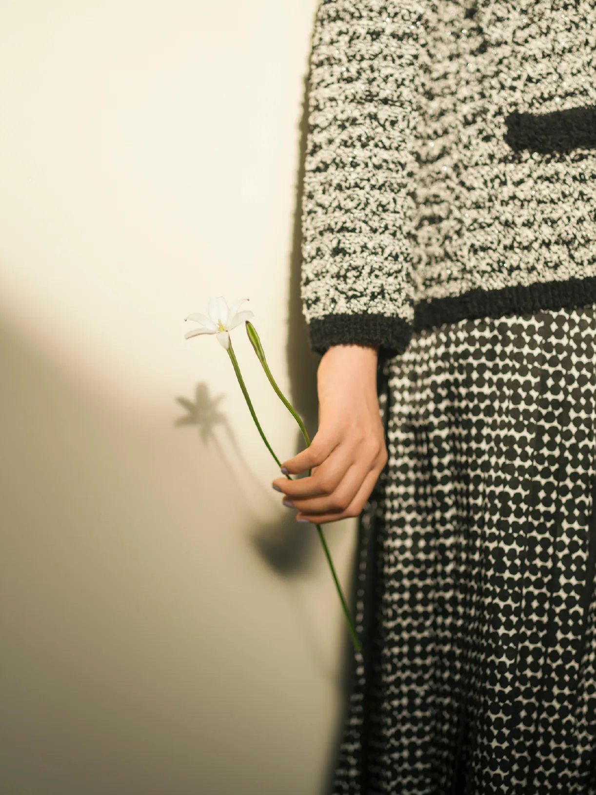 Look - Drawer 2025 Spring Summer