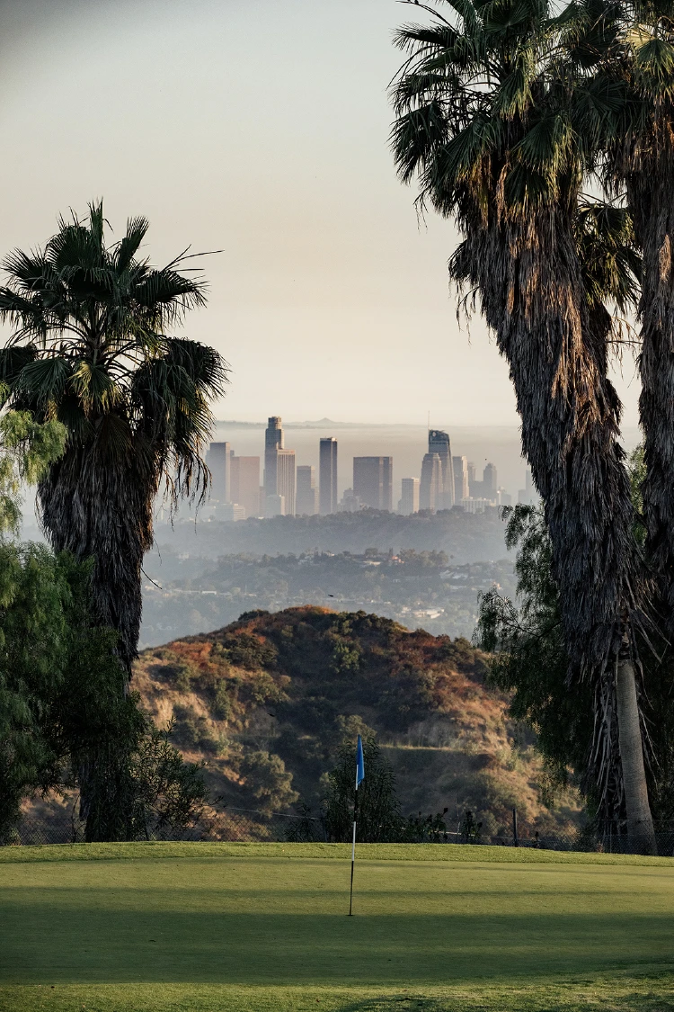 TaylorMade×UNITED ARROWS MOOD