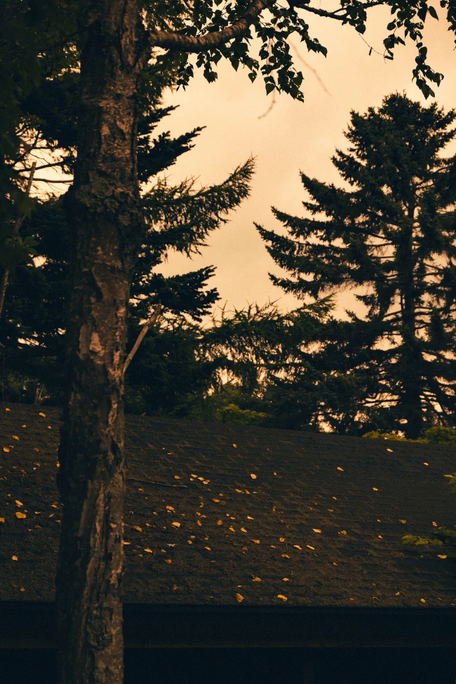 TaylorMade×UNITED ARROWS MOOD