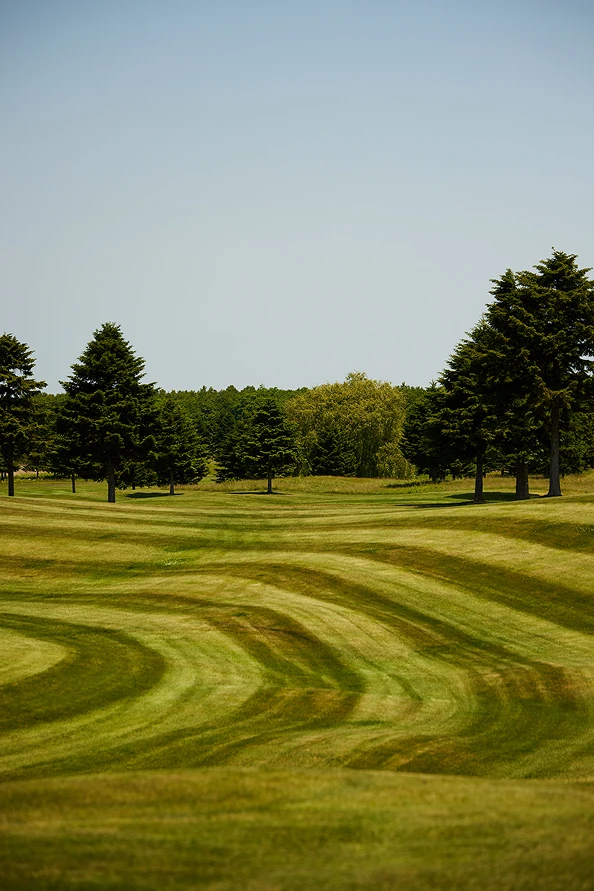 TaylorMade × UNITED ARROWS LOOK