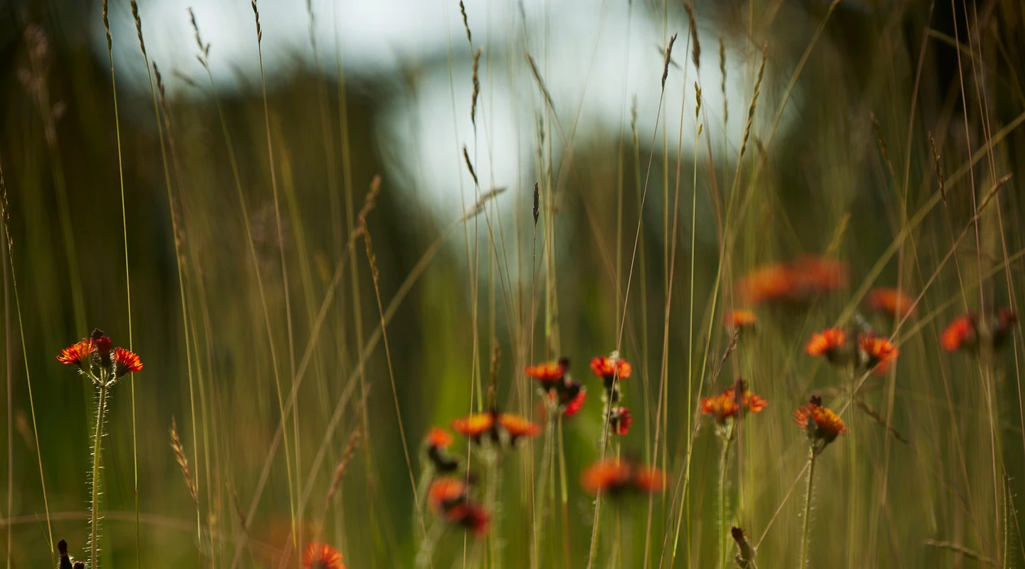 TaylorMade × UNITED ARROWS LOOK