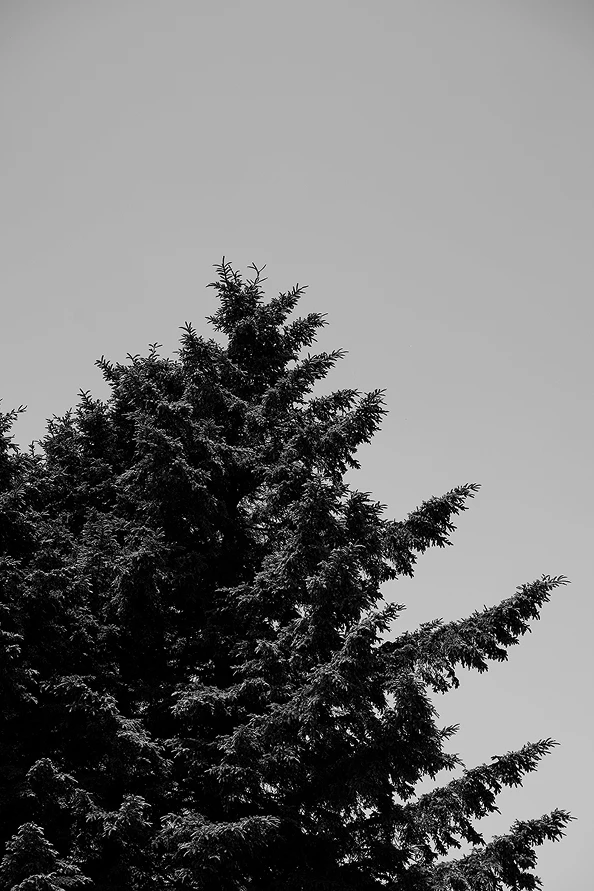 TaylorMade × UNITED ARROWS LOOK