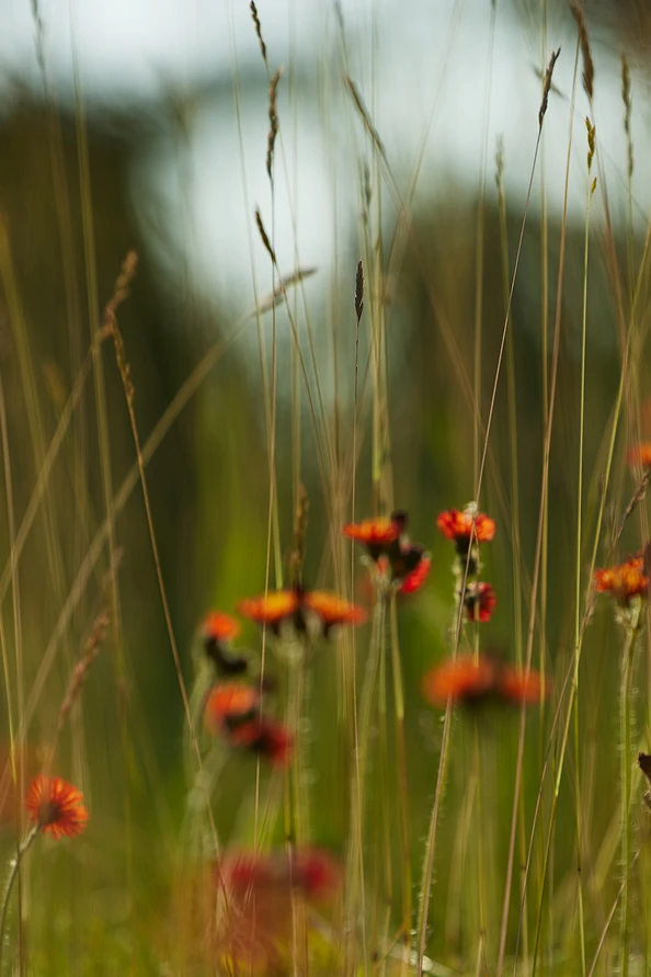 TaylorMade × UNITED ARROWS LOOK