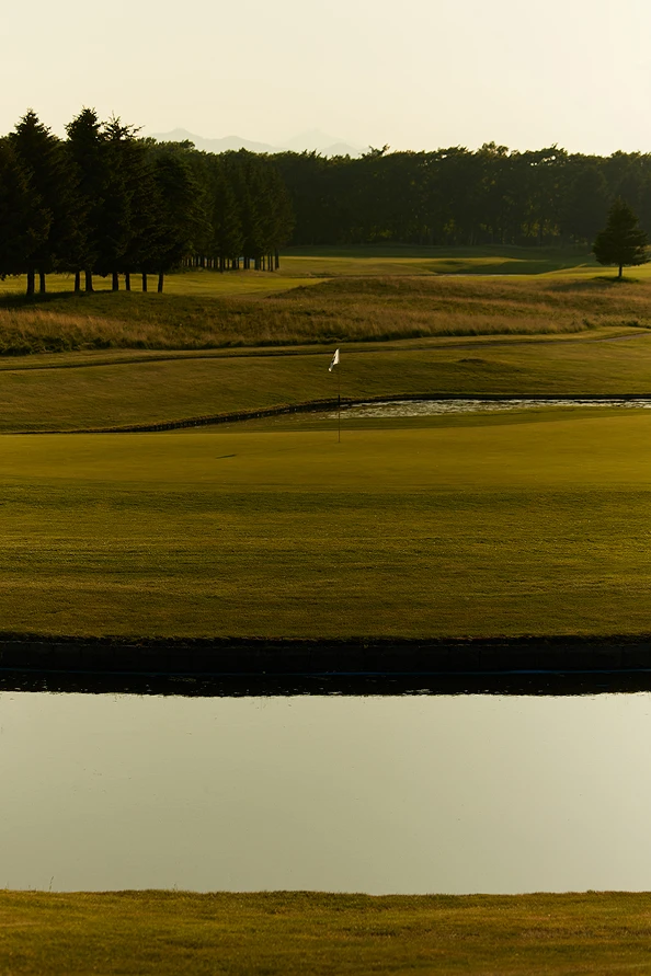 TaylorMade × UNITED ARROWS LOOK