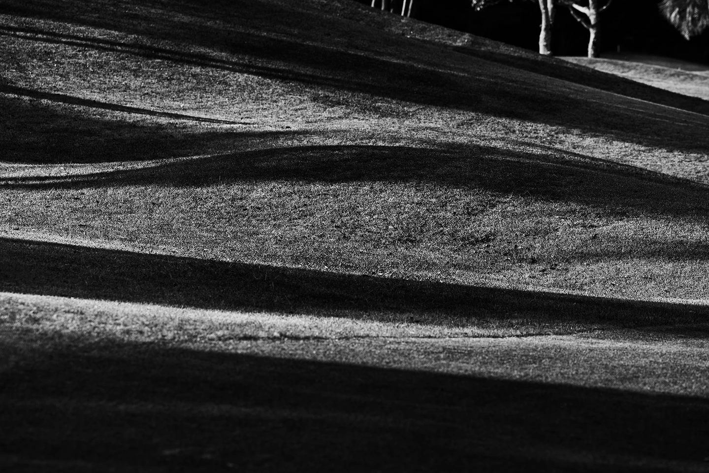 TaylorMade × UNITED ARROWS MOOD