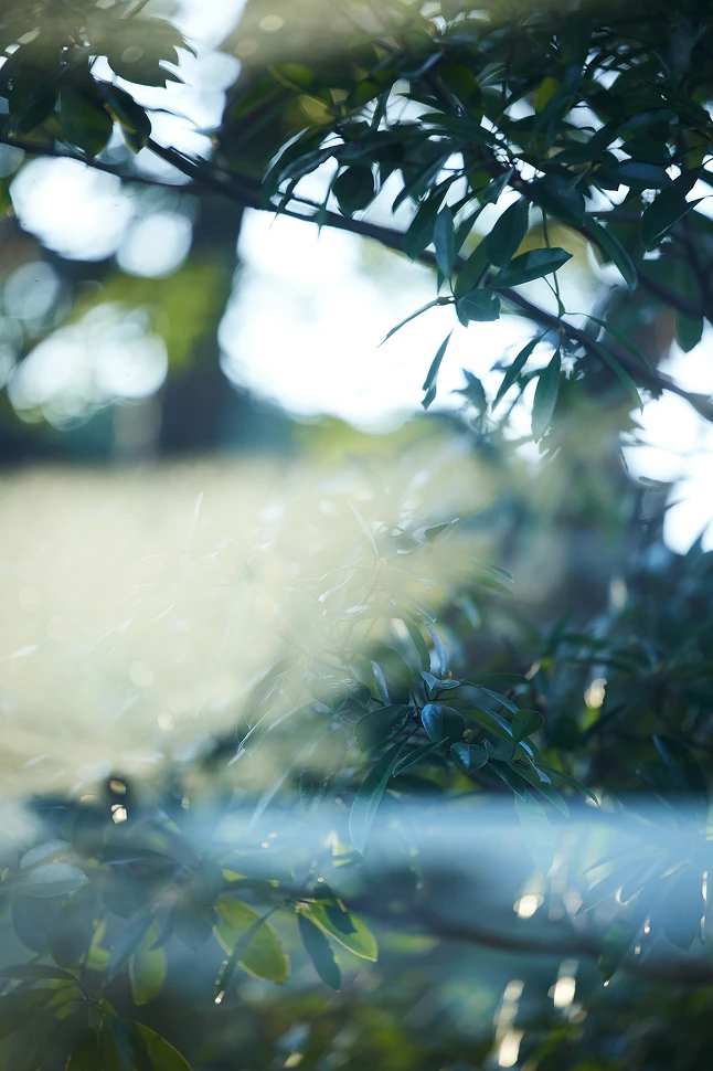 TaylorMade × UNITED ARROWS MOOD