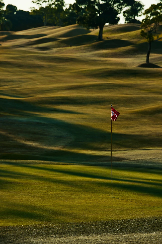 TaylorMade × UNITED ARROWS MOOD