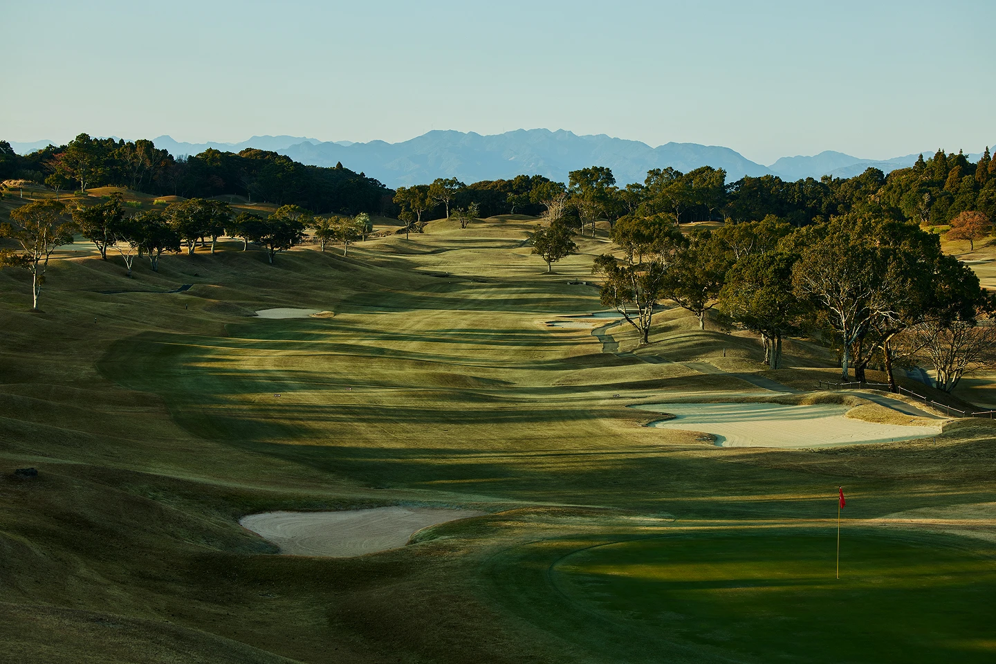 TaylorMade × UNITED ARROWS MOOD