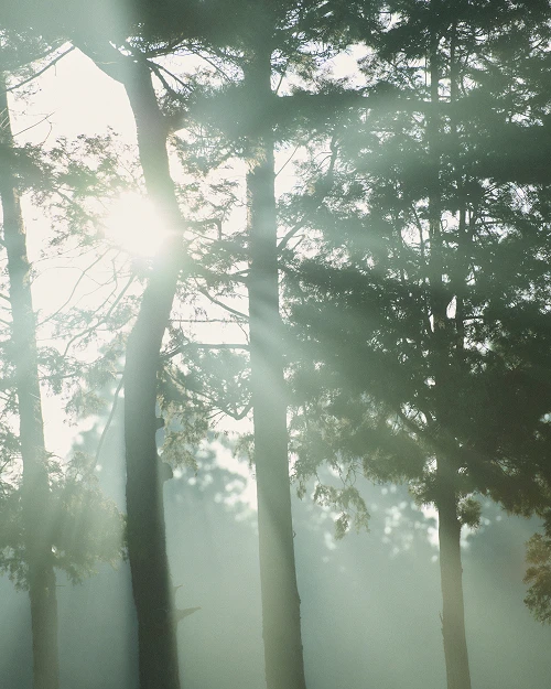 UNITED ARROWS GOLF 2025 MID SUMMER COLLECTION LOOK 03