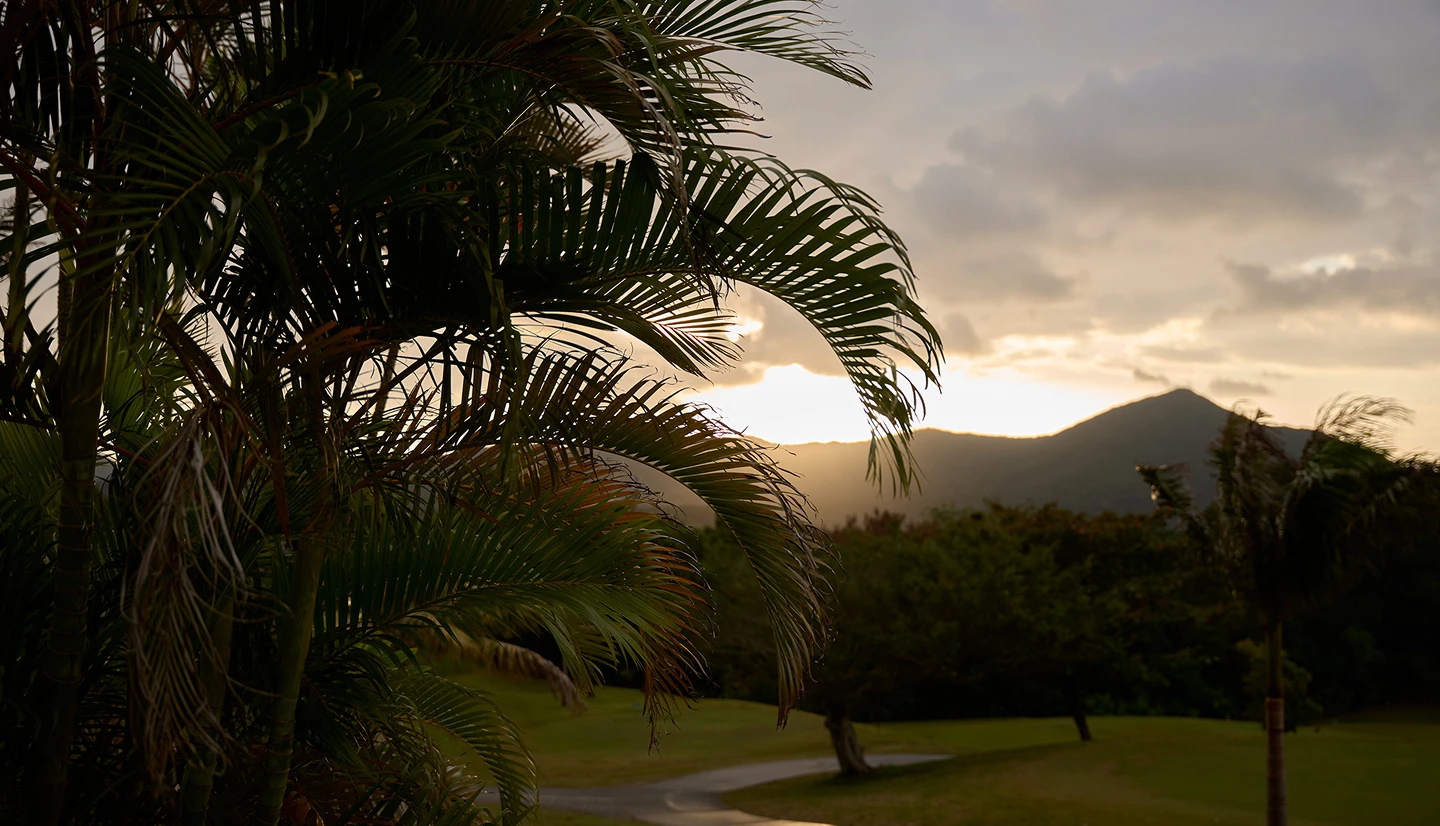 TaylorMade × UNITED ARROWS LOOK