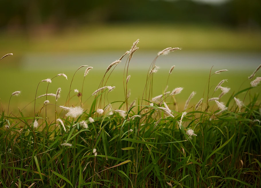TaylorMade × UNITED ARROWS LOOK