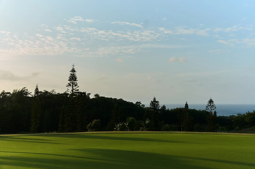 TaylorMade × UNITED ARROWS LOOK