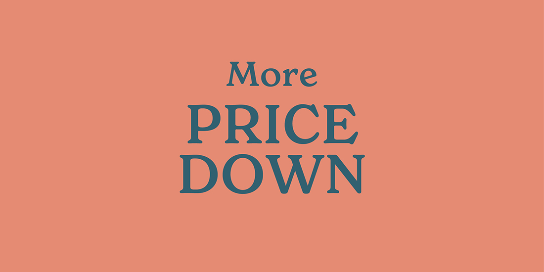 MORE PRICE DOWN 2025