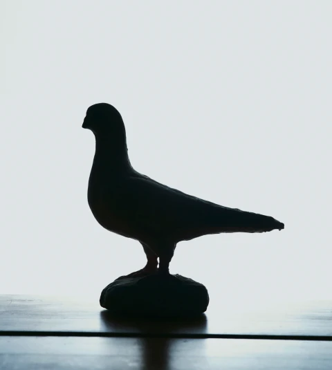 Wishing you all hope and joy.